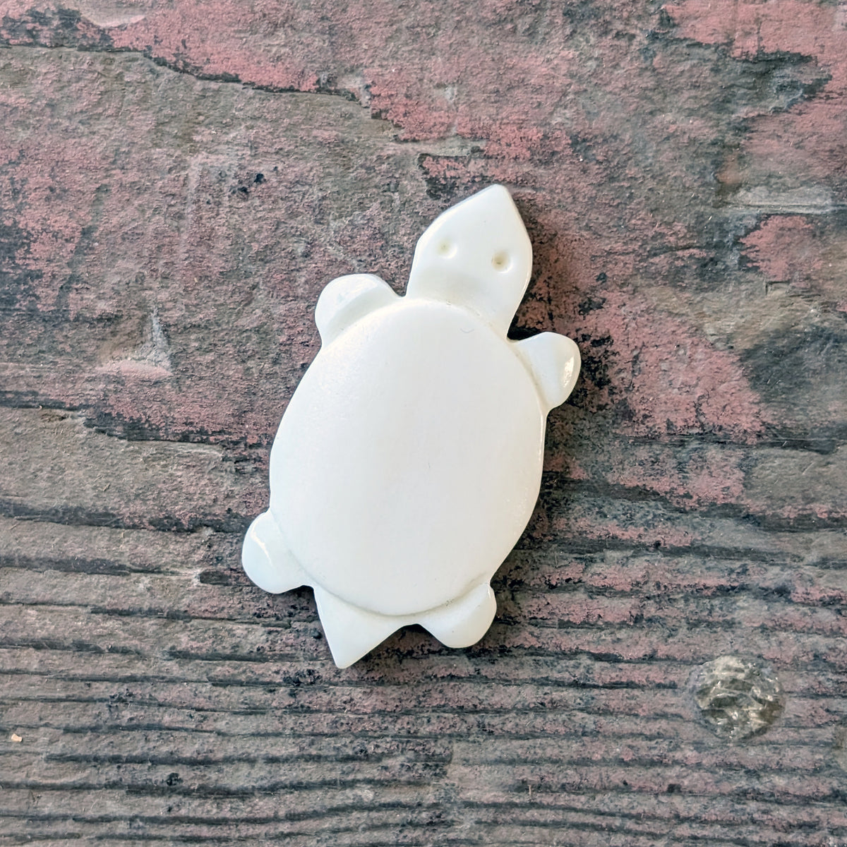 Carved Bone Turtles – Aunty Collective