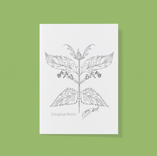 Stinging Nettle Greeting Card