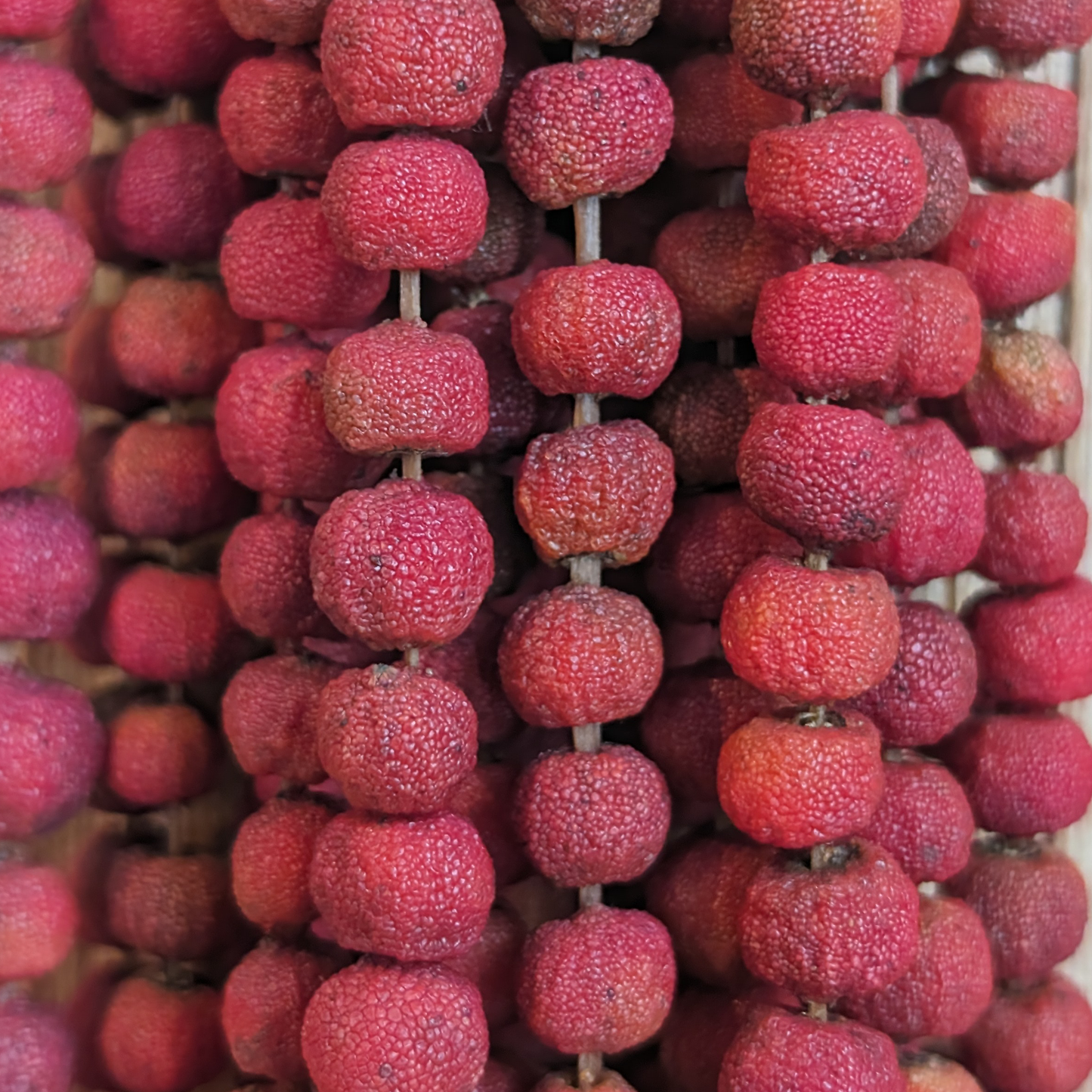 Dried Arbutus Berry Beads