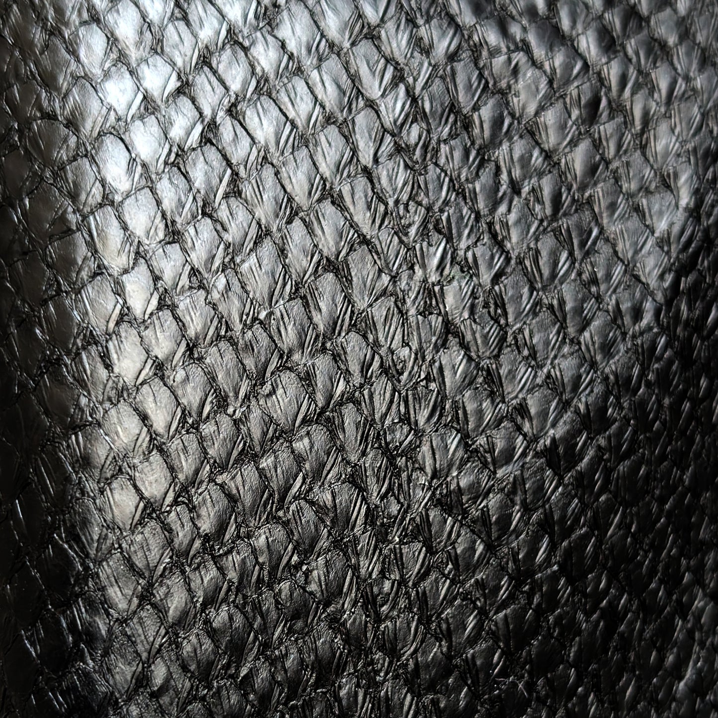 Fish Skin Leather