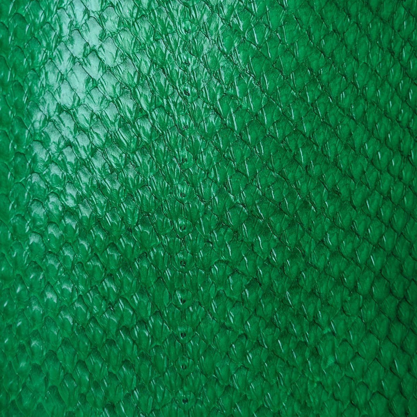 Fish Skin Leather