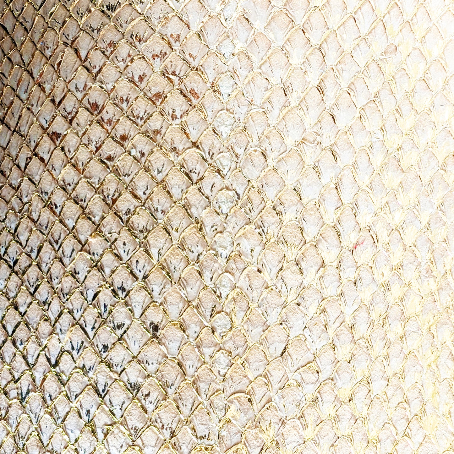 Fish Skin Leather