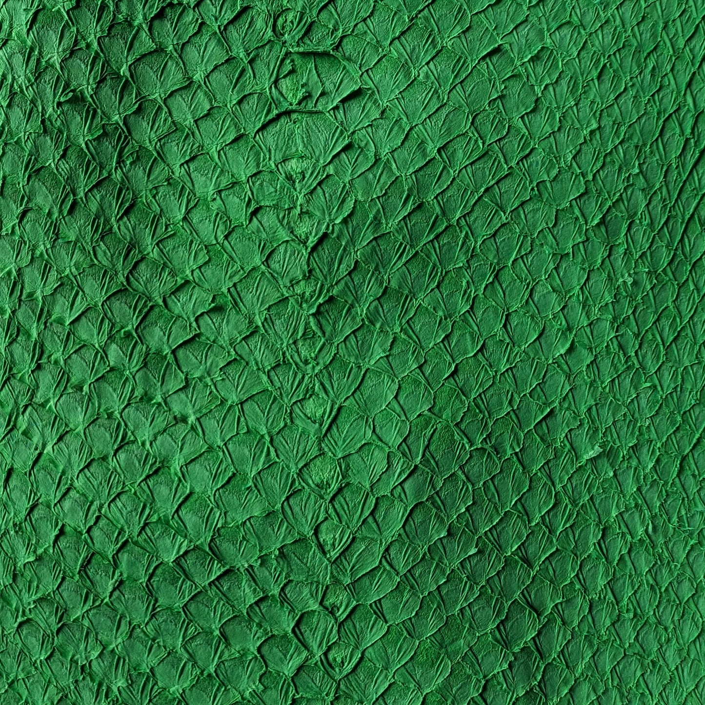 Fish Skin Leather