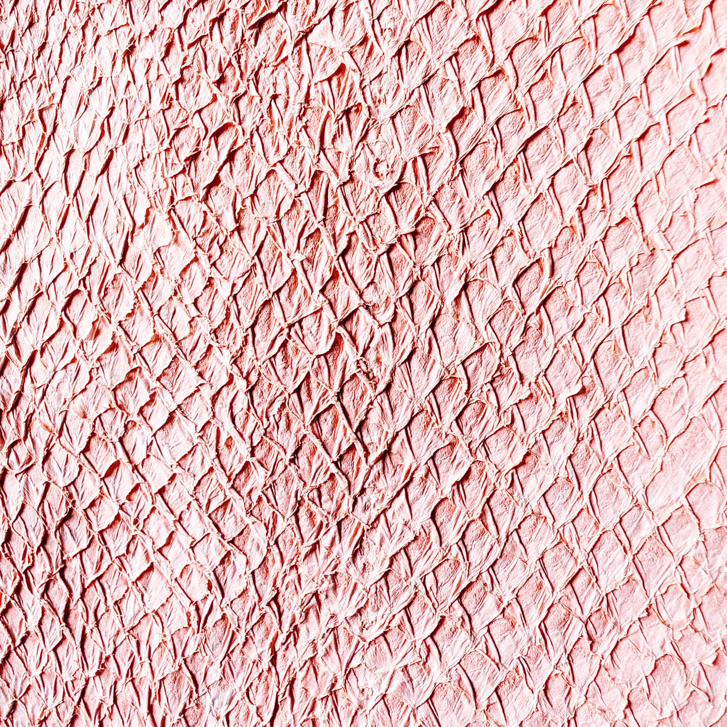 Fish Skin Leather