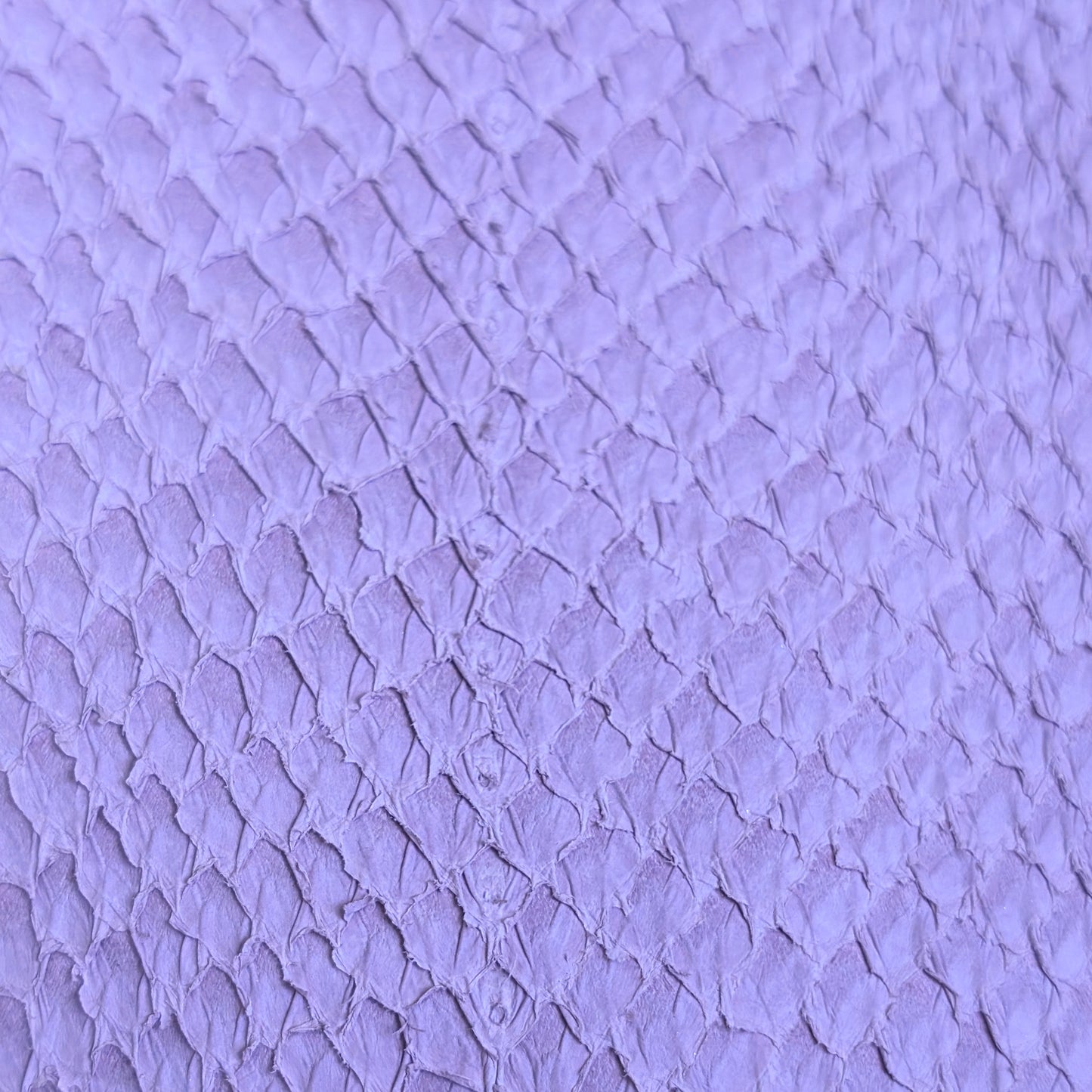 Fish Skin Leather