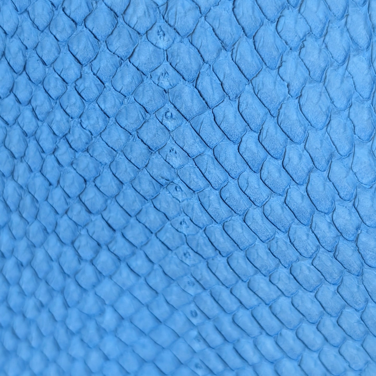 Fish Skin Leather