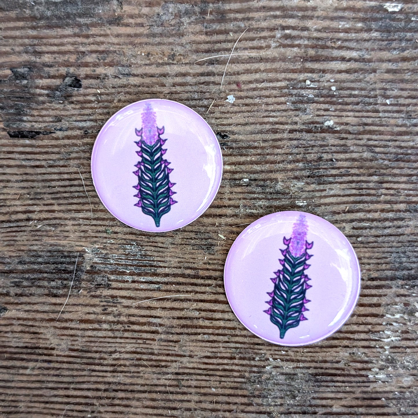 Fireweed Stalk Cabochons