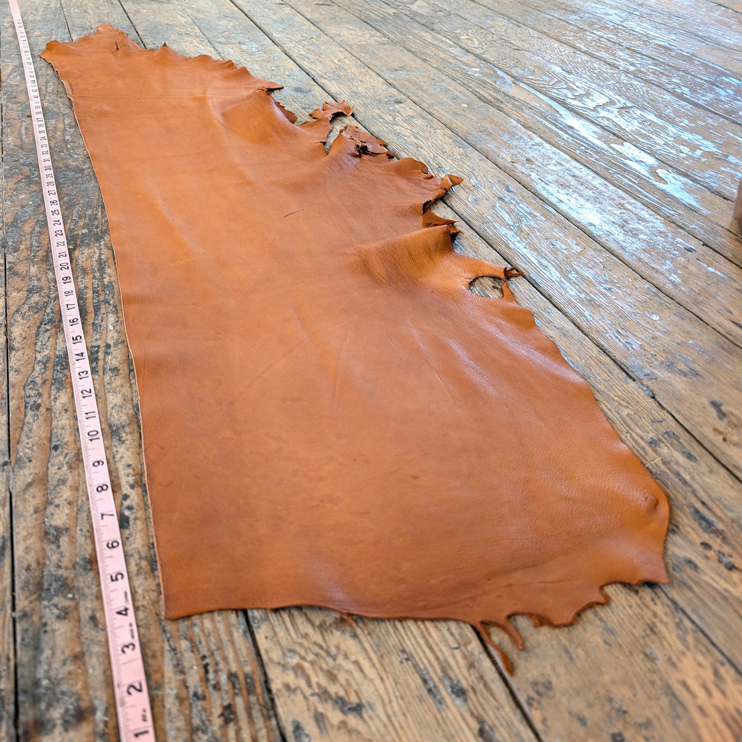 Deerskin Leather in Acorn