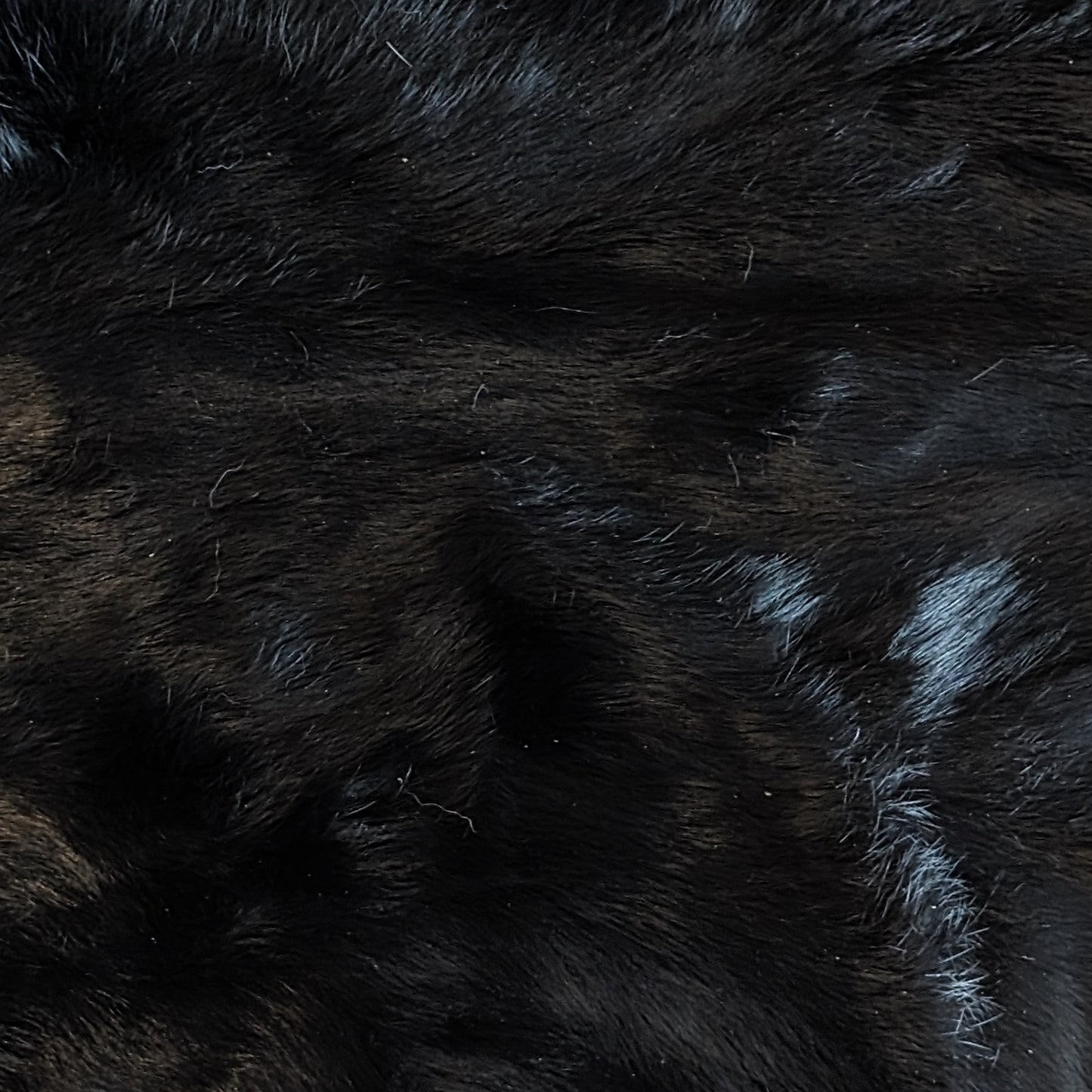 Large Black Rabbit Furs