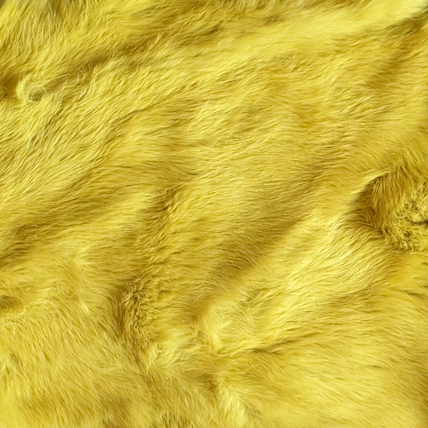 Yellow Rabbit Furs