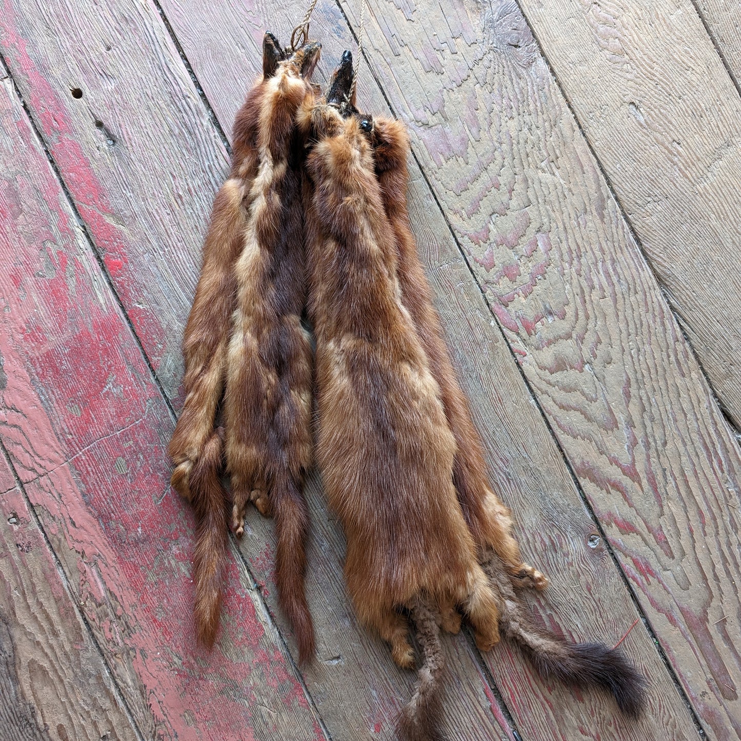 Vintage Red Mink Fur Pelts